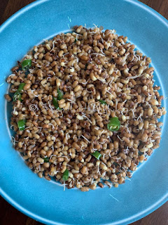 Sprouts-sundal-recipe, Sprouted-moth-bean-sundal