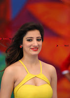 richa panai hd pos1.jpg