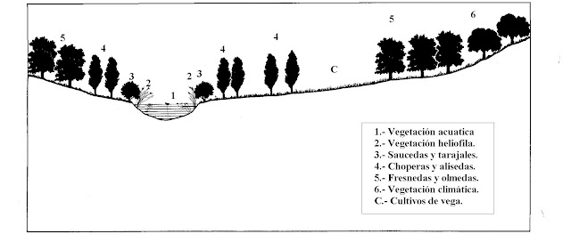 Figgura 1: Catena ideal ribera mediterranea madrileña.