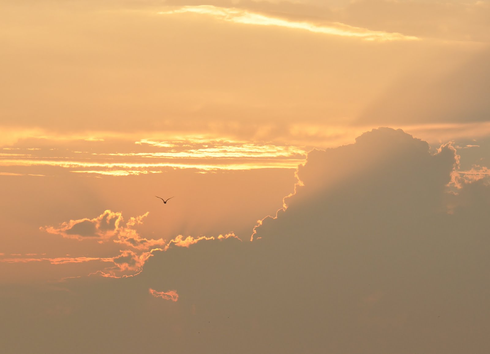 From the aug sep last night Jul high res cloud sunset sky tattoos,