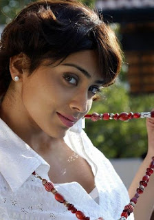 Hot actress Shriya Saran Stills