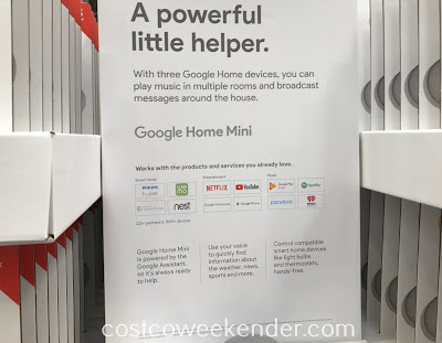 Google Home Mini: great for any home