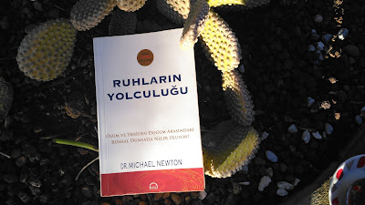 Ruhların Yolculuğu, Dr. Michael Newton 