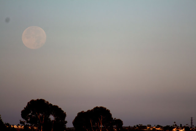 Moon setting at 2 degrees above horizon at 6:18 am PDT, 300mm, 1/1000 second (Source: Palmia Observatory)