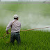 Mengenal Pestisida,bagaimana cara kerjanya dalam melindungi tanaman dari serangan hama dan jenis-jenis pestisida