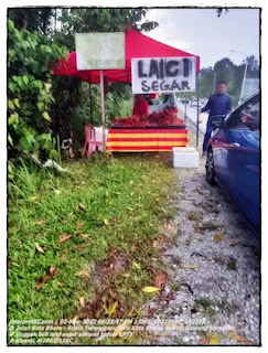 gambar gerai menjual laici segar di tepi jalan Kota Bharu - Kuala Terengganu