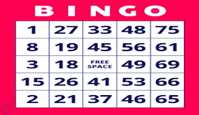 Bingo game, হাউজি খেলা, জুয়া খেলা