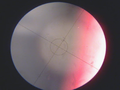 web cam view of polar scope reticule