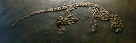 P1020763