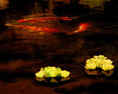 photograph by Mark Calpan features koi swimming in a pond with floating flowers.
