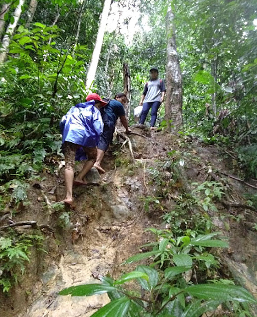 Jalur jalan kaki ke Air Terjun Bedawat