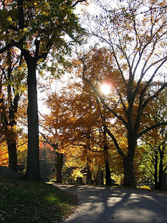 https://commons.wikimedia.org/wiki/File:Fall_landscape,_Homewood_Cemetery,_2020-11-08,_02.jpg