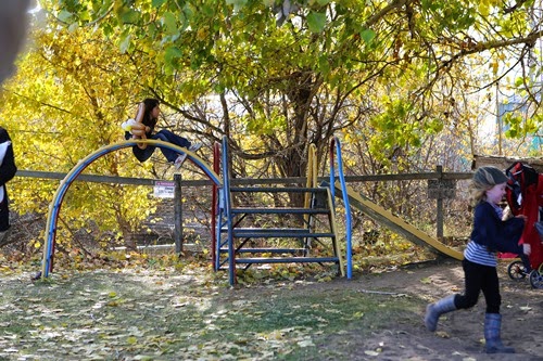 20141011 prairie gardens (176) edit