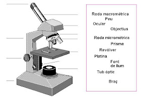 Resultado de imagen de parts del microscopi