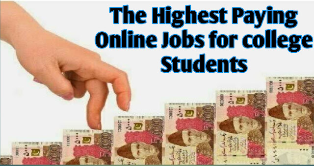 The 5 Highest Paying Online Jobs for College Students