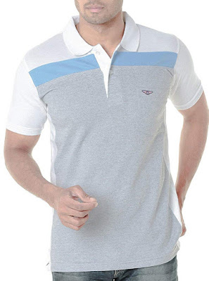  Try  Polo T-Shirt      PRICE - रु449    BUY NOW AMAZON  