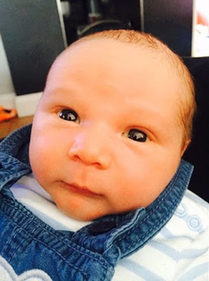 The 3 week old baby killed by a family dog in sunderland