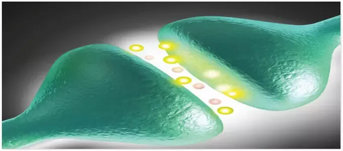 Biomolecole Snep