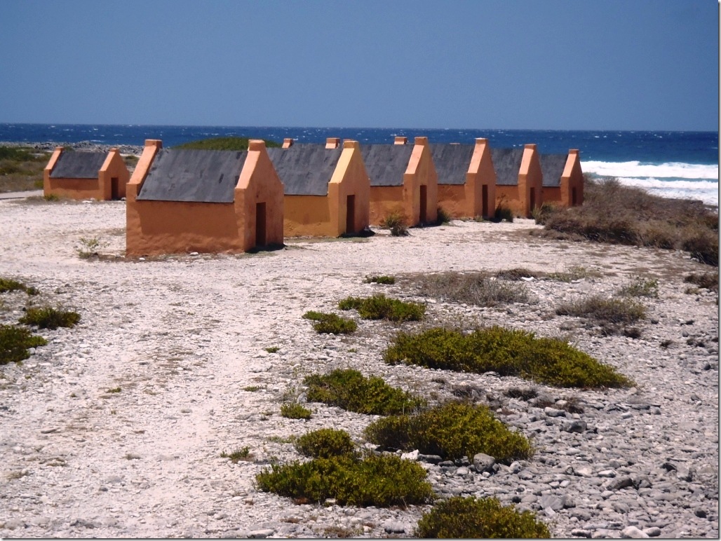 021i orange slavehuts