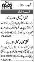 Insurance agent  Jobs 2022 || Office staff jobs 2022 in Islamabad jobs