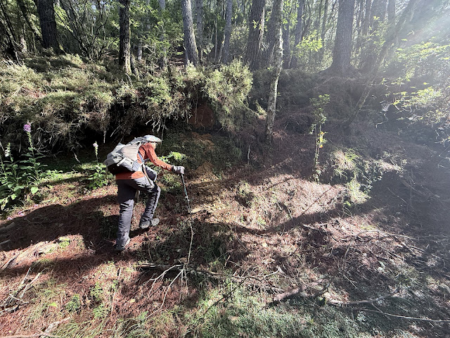 龍貓公車旁登山口往對關山 龍貓公車旁登山口往對關山