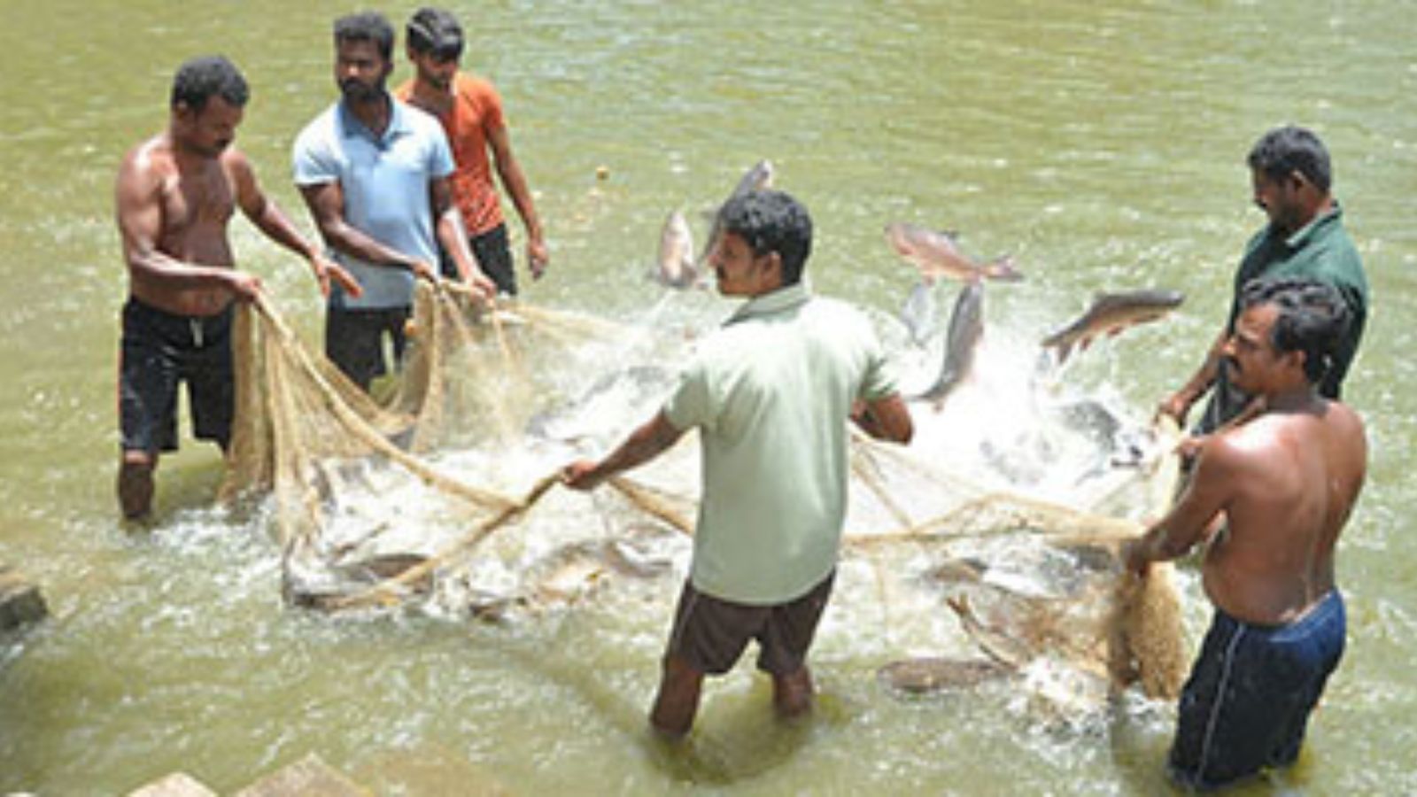 Employment for Graduates in Fishing and Fisherman Welfare