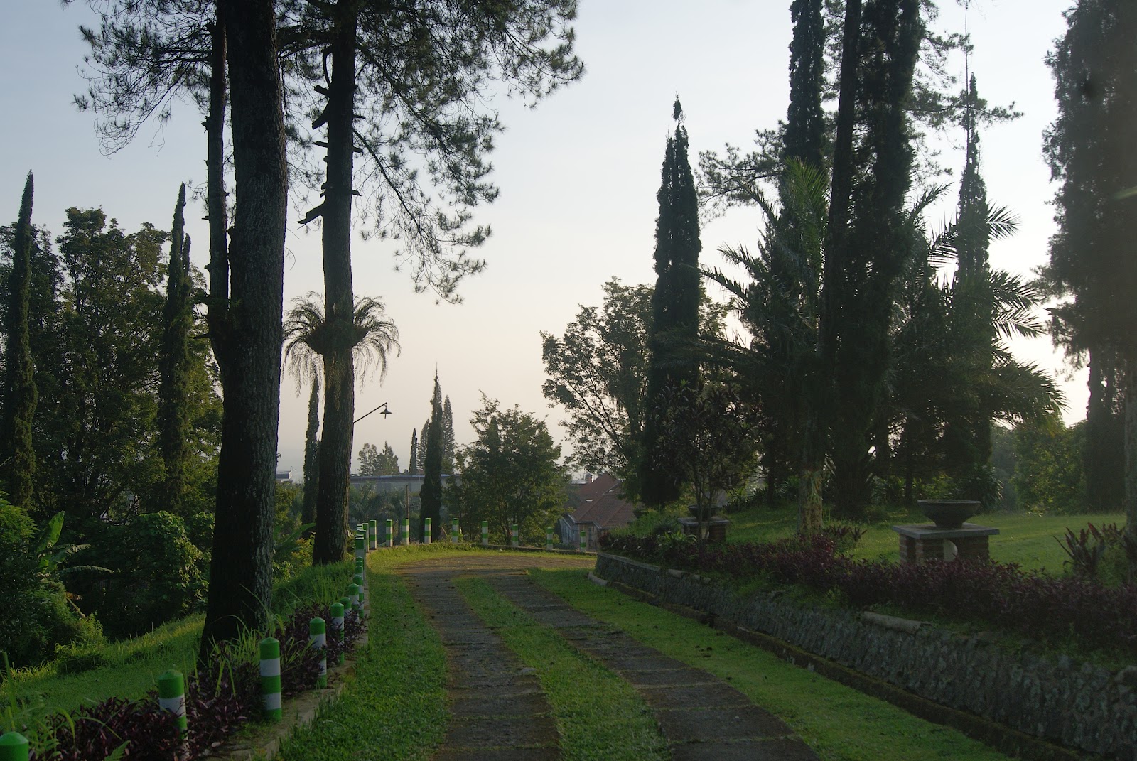 Pondok Wisata Foresta Tretes Wana Wisata Perum Perhutani