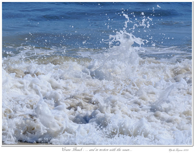 Crane Beach: ... and in motion with the ocean...