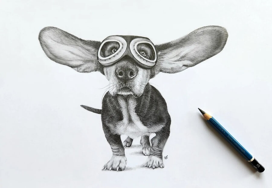 04-The-aviator-dog-Animal-Pencil-Drawings-Elayne Fong-www-designstack-co