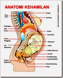 tanda-tanda kehamilan