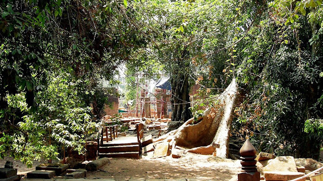 Ta Prohm Temple in Cambodia