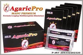 Obat Diabetes AgaricPro