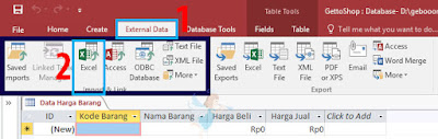 Database Excel X Access