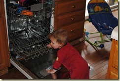 Jeremy the Destructor (8 1/2 months)