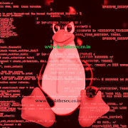 Linux/x86_64 - Read /etc/passwd - 65 bytes Exploit