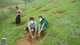 हरियाली अमावस्या के अवसर पर मातृ शक्ति द्वारा पौधा रोपण किया गया