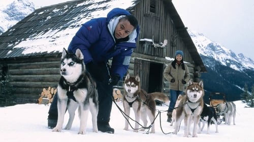 Snow Dogs - 8 cani sotto zero 2002 vedere