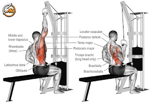 The 5 Best Exercises for Bigger Lats