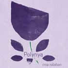 Polynya: Crop Rotation