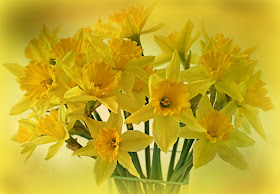 Spring Flowers, Living From Glory To Glory Blog...