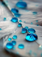 Blue Drops