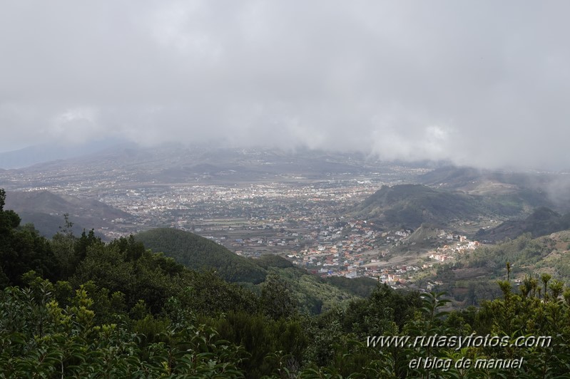 Sendero de los Sentidos - Sendero de los Enigmas