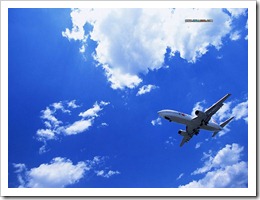 EK168wallcoo.com (1)