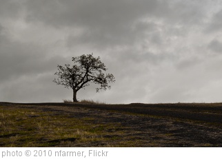 'alone' photo (c) 2010, nfarmer - license: http://creativecommons.org/licenses/by-nd/2.0/