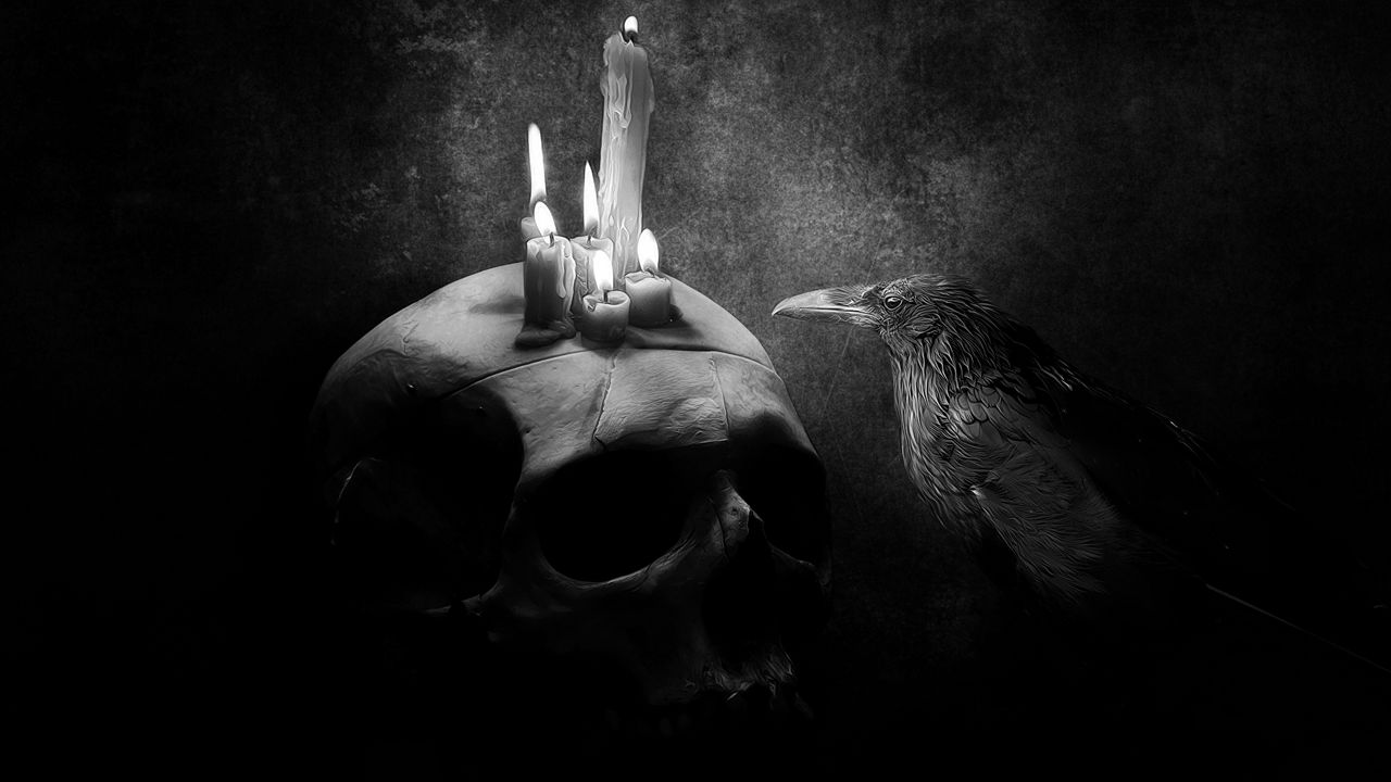 Wallpaper Crow Bird Drawing Skull Candle