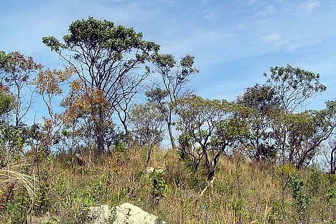 Parque Nacional de Brasília