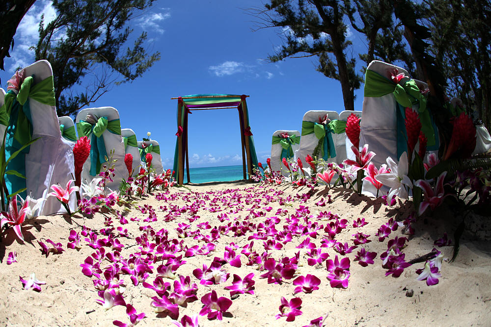 The color aqua is perfect for a beach theme wedding