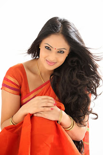 nikesha patel in saree hot photoshoot