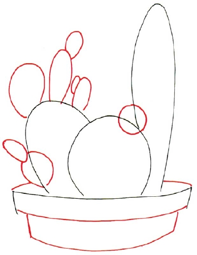 Cartoon Pictures: How to Draw a Cactus in 7 Steps