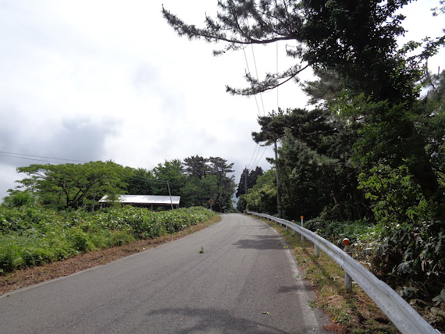 鳥取県道277号線豊房名和線の町はずれで引き返しました